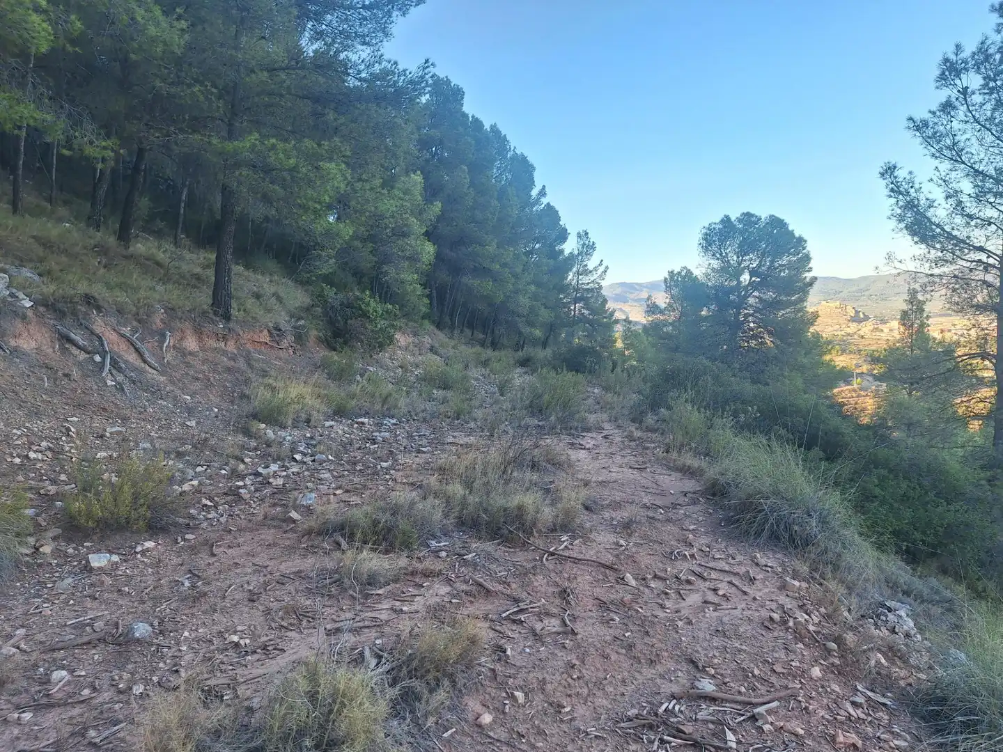 Rural land for sale in Castalla, imagen 5
