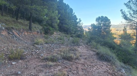 FINCA RÚSTICA FORESTAL EN VENTA CON VISTAS PANORAMICAS  CASTALLA ALICANTE, immagine 5