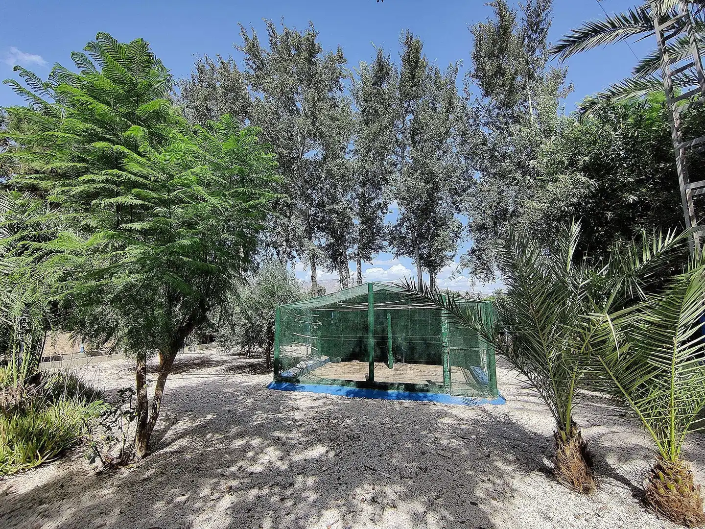 Maison rustique à vendre à Crevillent, imagen 11