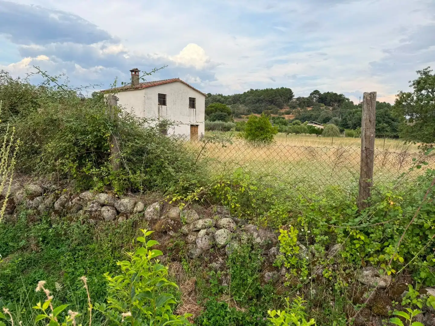 Terreni e lotti in vendita a Candeleda, imagen 12