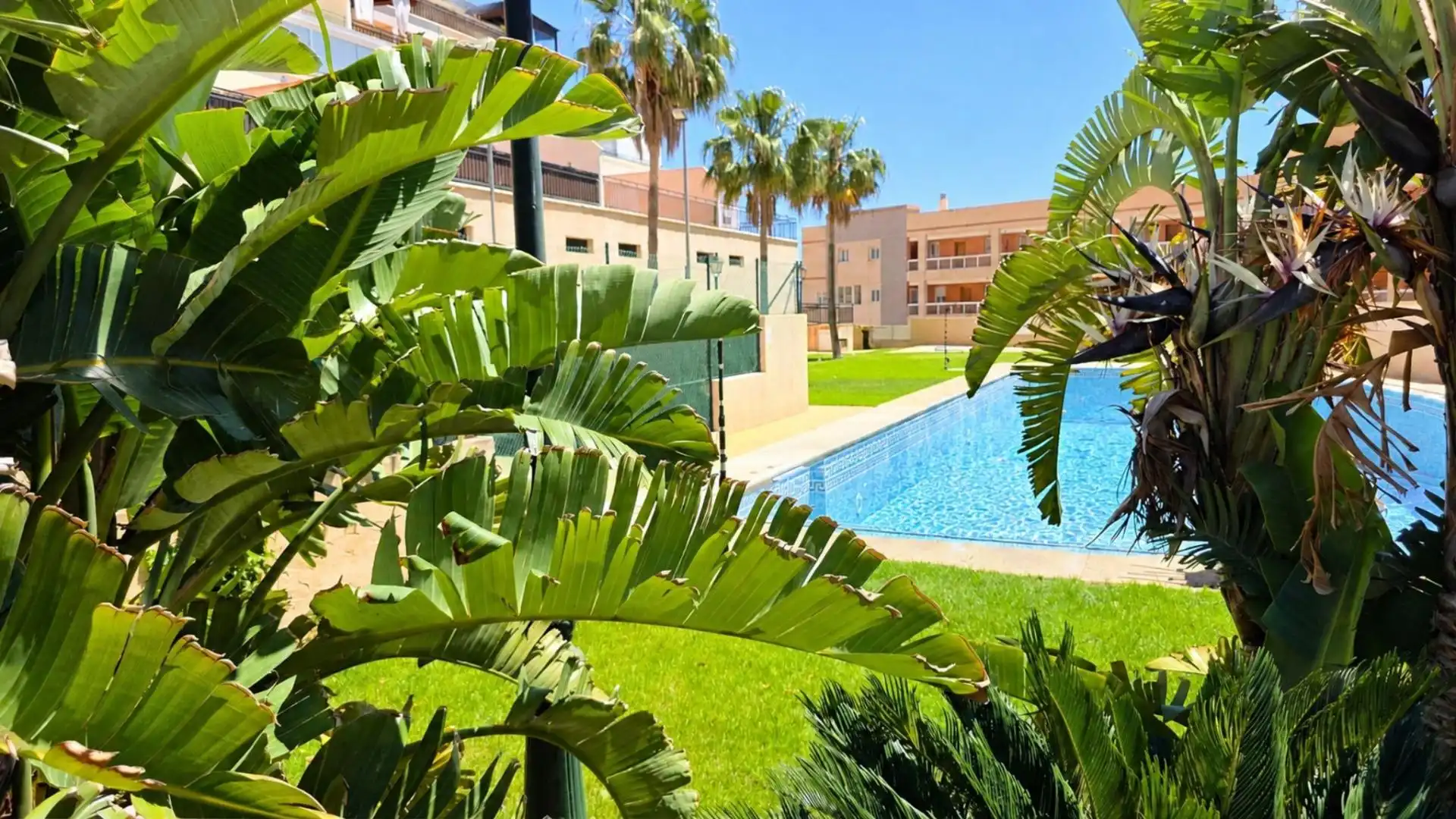 Piscina de Piso en venta en Roquetas de Mar con Jardín privado, Terraza y Piscina comunitaria