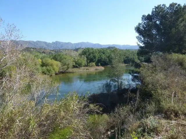 Vista exterior de Finca rústica en venta en Xerta