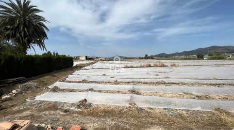 Photo 3 of Residential for sale in Calle Camino de Los Tollos, La Hoya, Lorca