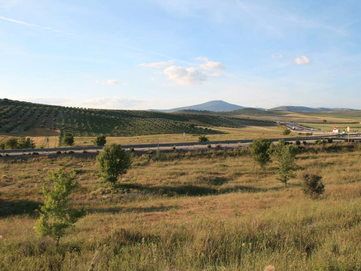 Industrial land for sale in Dehesas Viejas