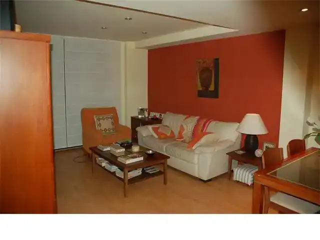 Sala d'estar de Dúplex en venda en Puig-reig amb Balcó