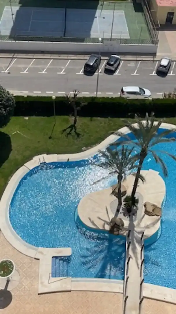 Swimming pool of Attic for sale in Alicante / Alacant  with Terrace, Furnished and Community pool