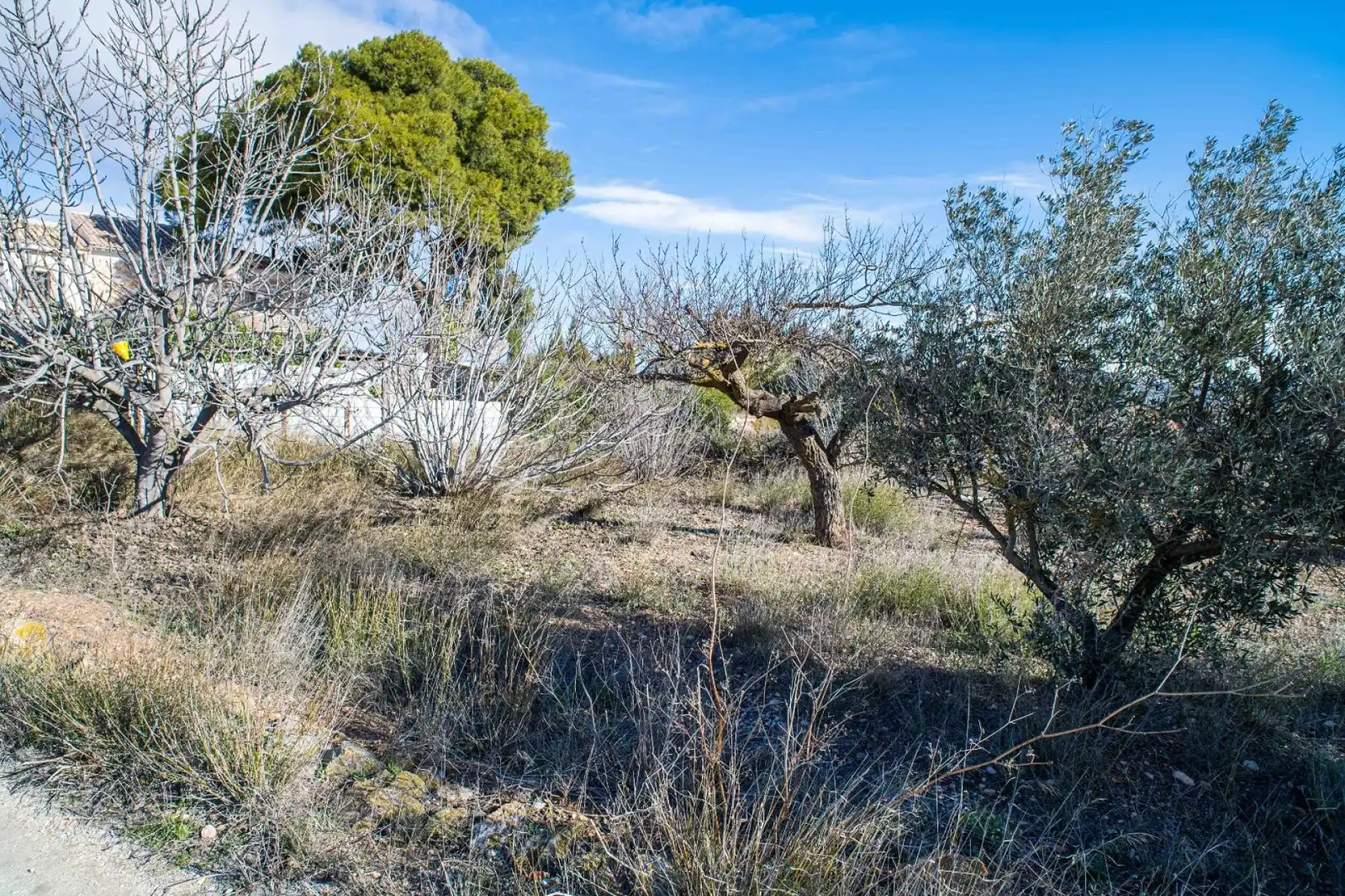 Landhaus zum Verkauf in El Pinós / Pinoso, imagen 6