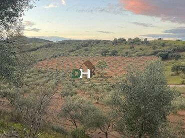 Terrenys i solars en venda a Villar del Rey