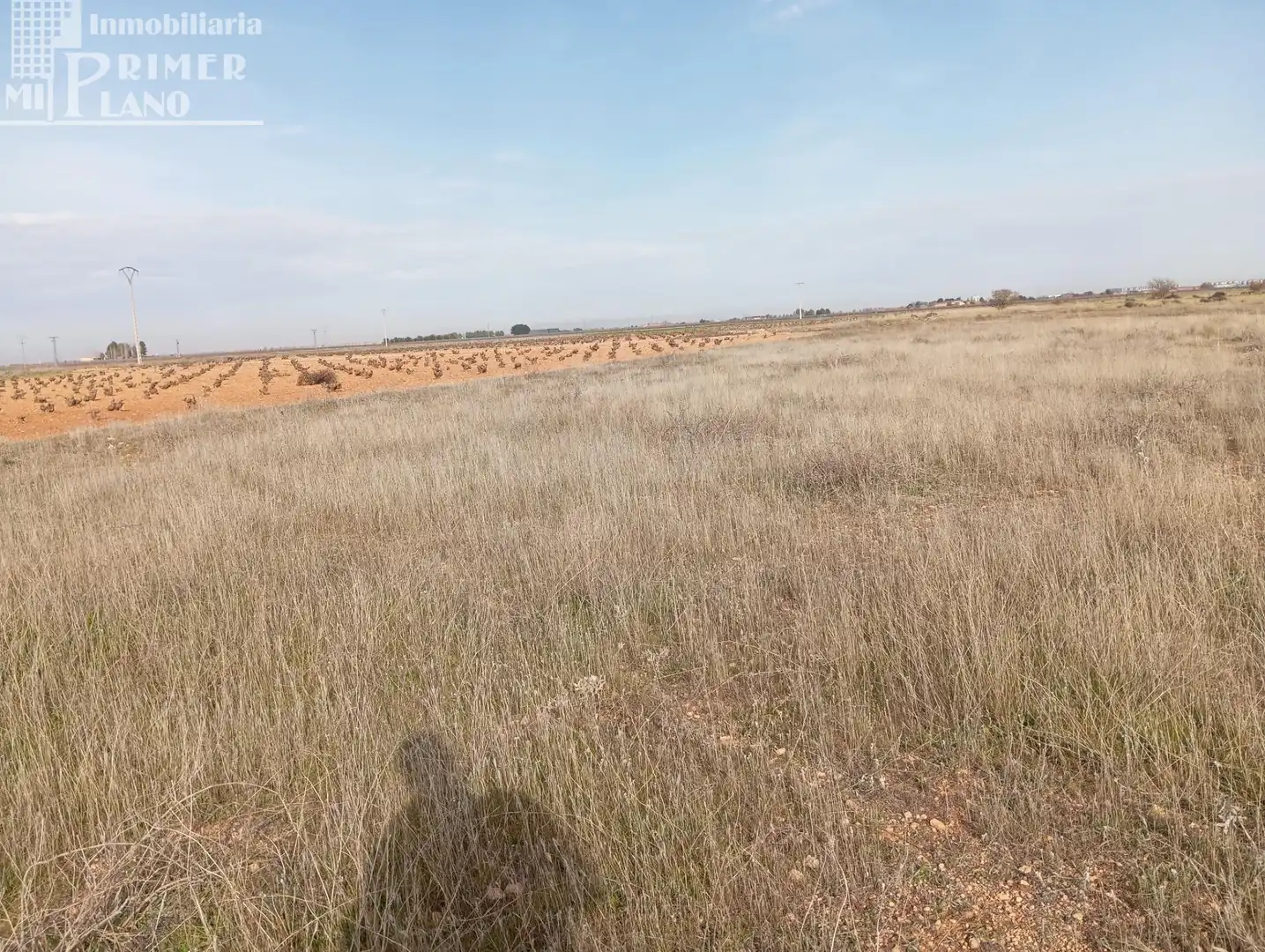 Lands and plots for sale in Ossa de Montiel, imagen 3