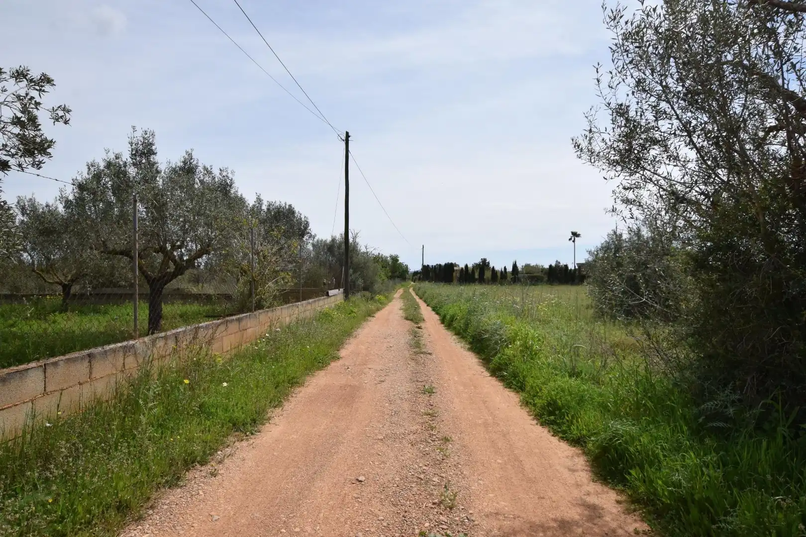 Finca rústica en venta en Santa Eugènia con Jardín privado