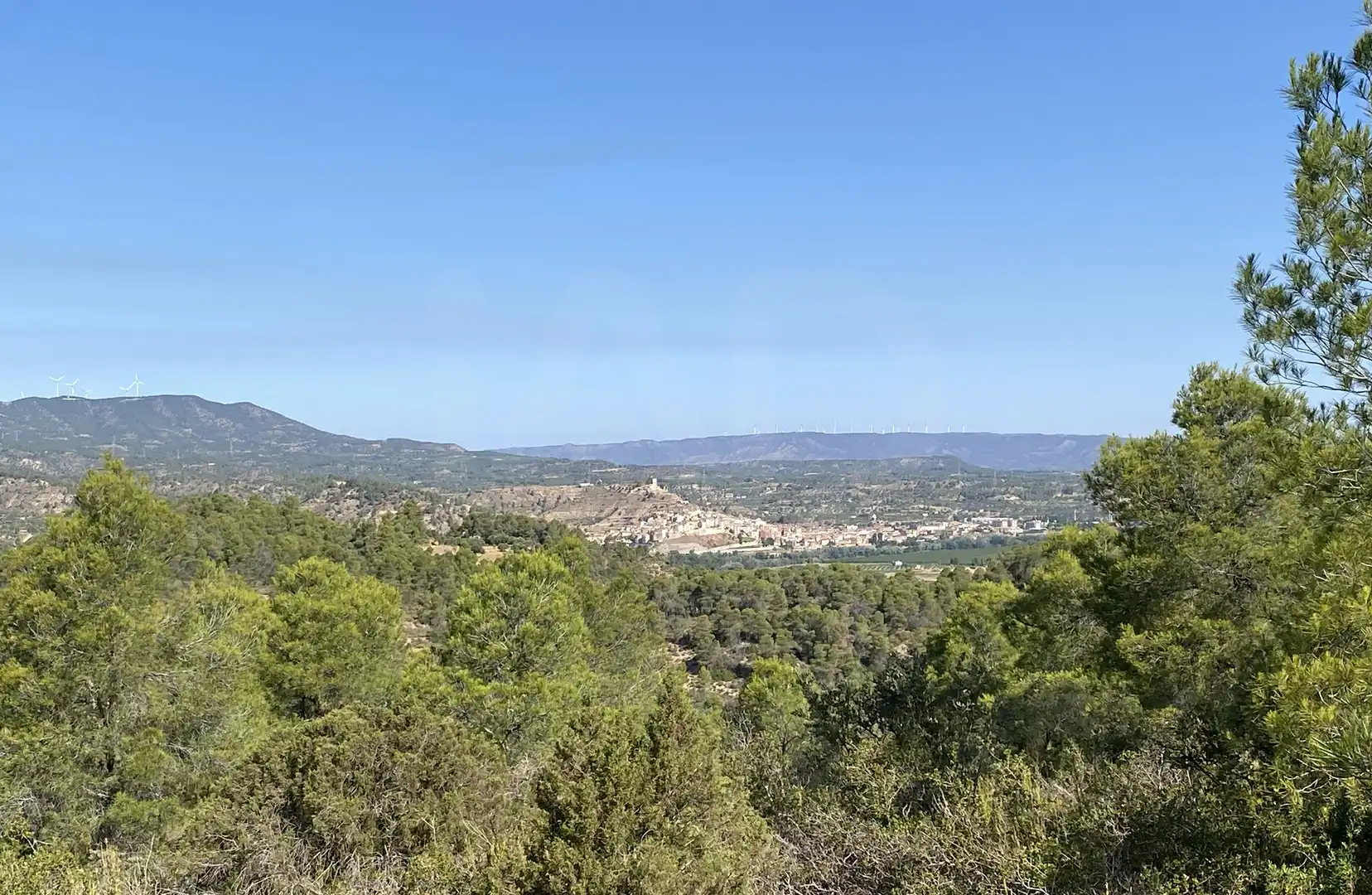 Terrain rustique à vendre à Ascó, imagen 17