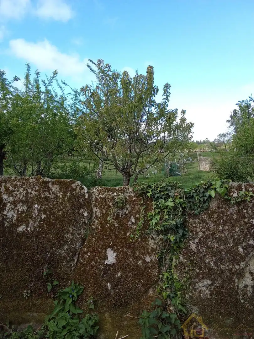 Jardín de Casa o chalet en venta en Lugo