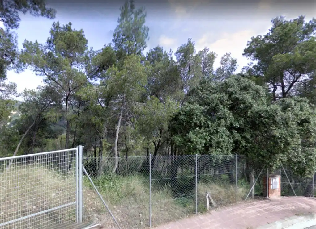 Terreny rústic en venda a C/ 9, imagen 4