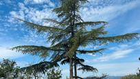 Garden of Country house for sale in  Barcelona Capital