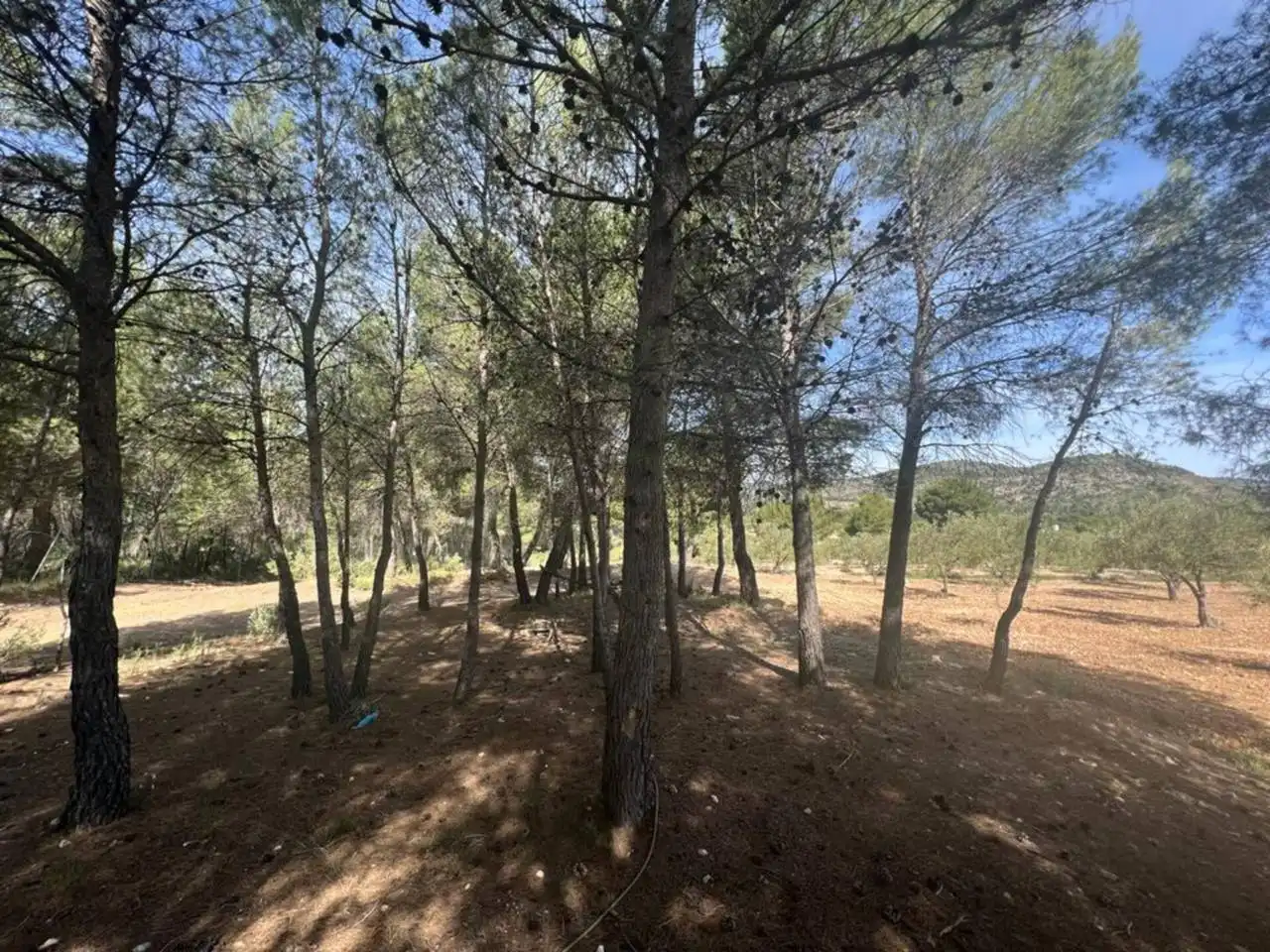 Chalet con jardín en venta en Calle Poligono, imagen 90