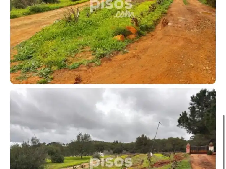 Rural land for sale in Calle Port de Sant Miquel 90