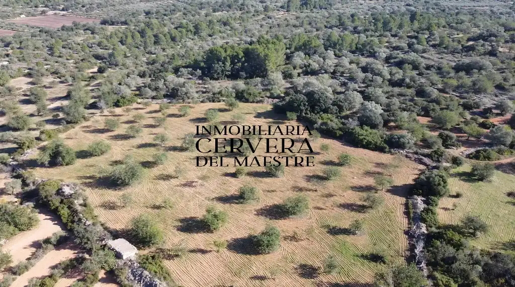 Terreno rustico in vendita a Cervera del Maestre, imagen 28