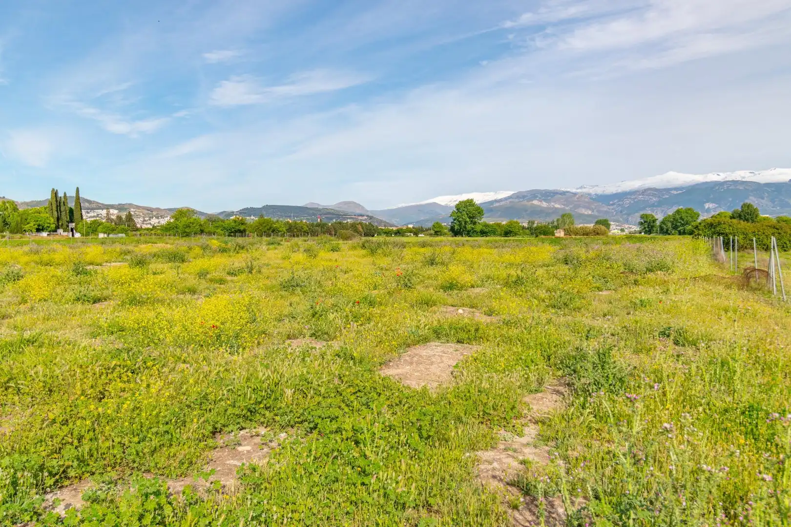 Lands and plots for sale in Polígono 9 Parcela 307 MARACHAT. GRANADA (GRANADA, imagen 37