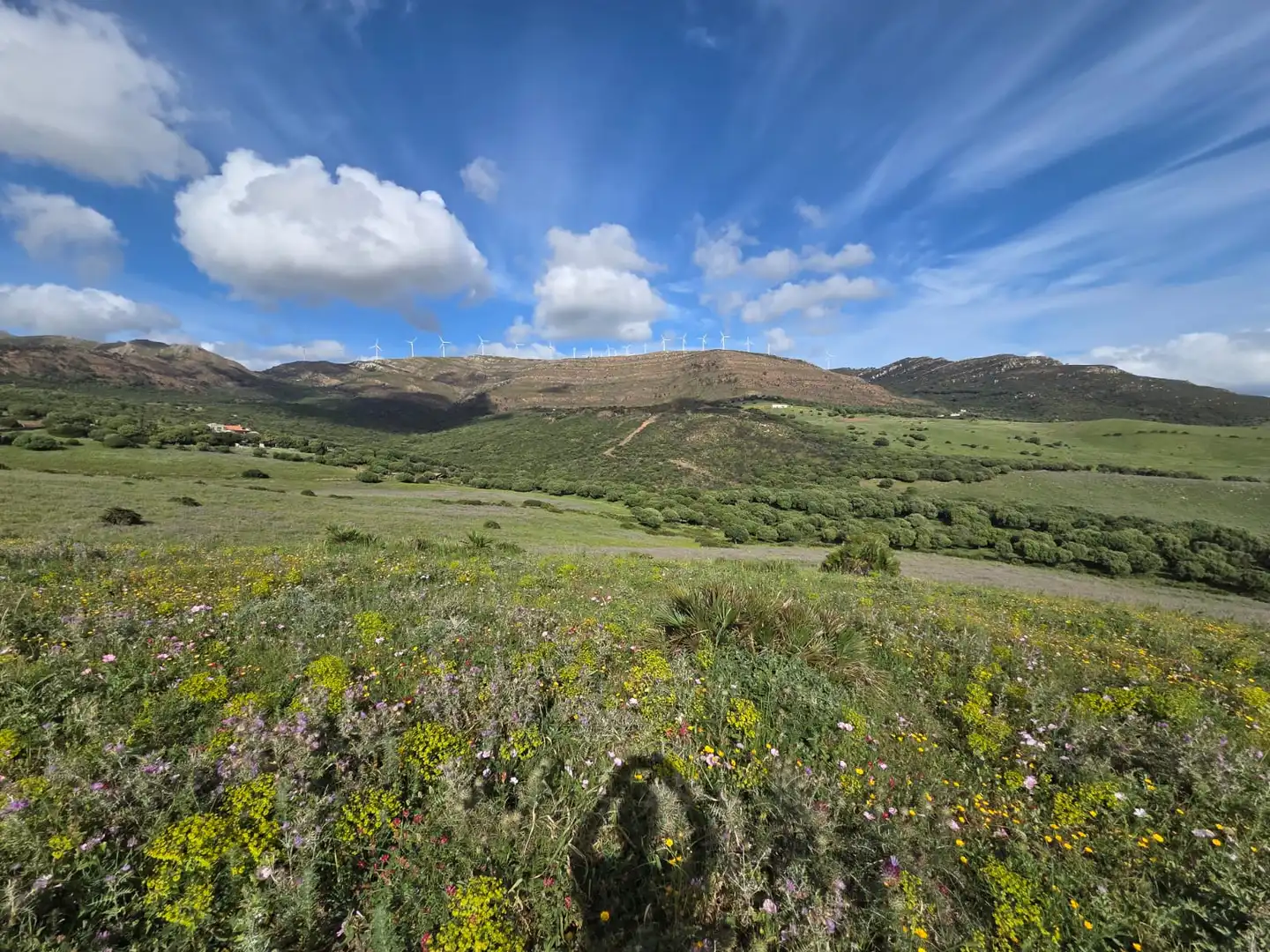 Terreno en venta en Tarifa