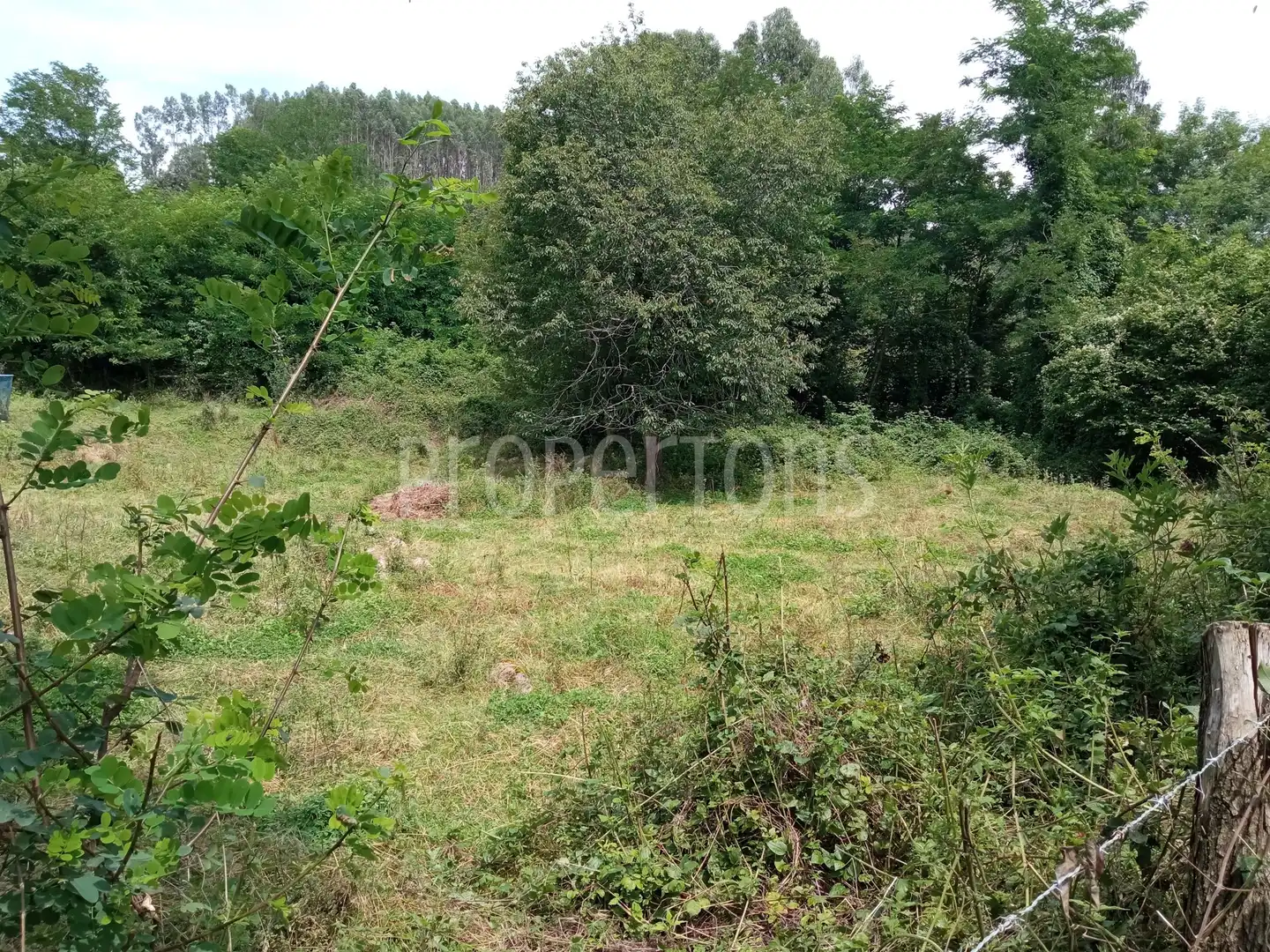 Lands and plots for sale in Samano, imagen 7