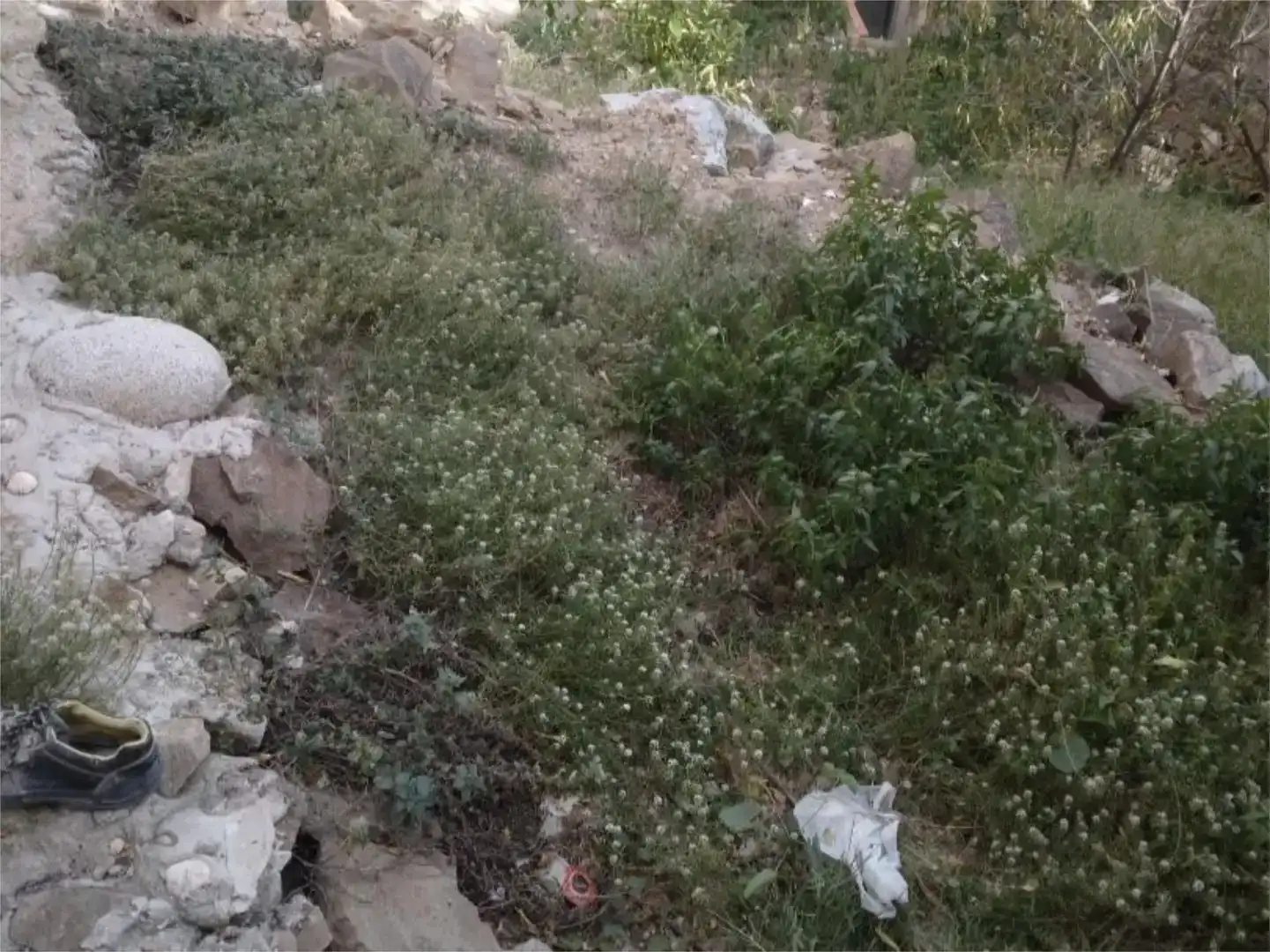 Terreno en venta en Barcelona