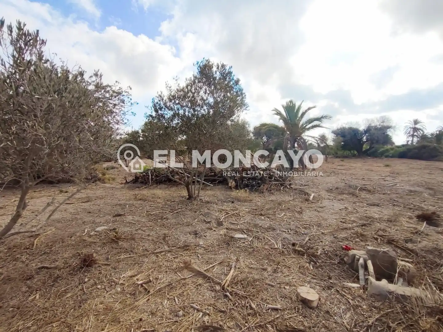 Terreno en venta en Elche / Elx