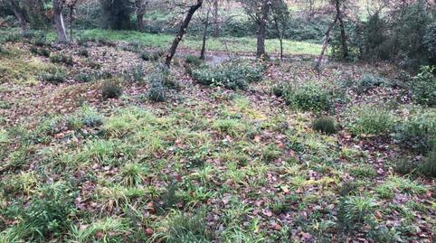 Photo 5 of Residential for sale in Carrer Pinsà, Residencial Park, Girona