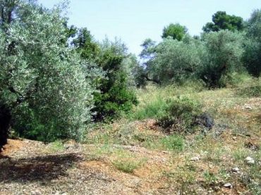 Terreno residenziale in vendita a Villanueva del Arzobispo