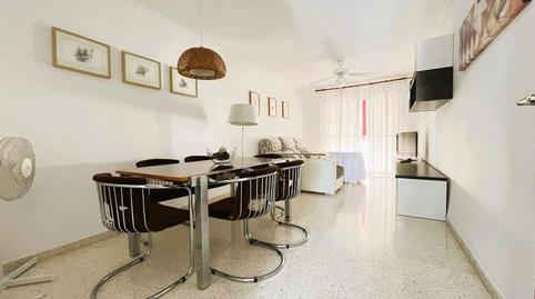 Foto 3 de Piso de alquiler en Avenida de Plutarco, El Cónsul - Ciudad Universitaria - El Romeral, Málaga