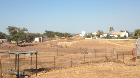 Foto 3 de Finca rústica en venda a  Almadén de la Plata, Almadén de la Plata, Sevilla