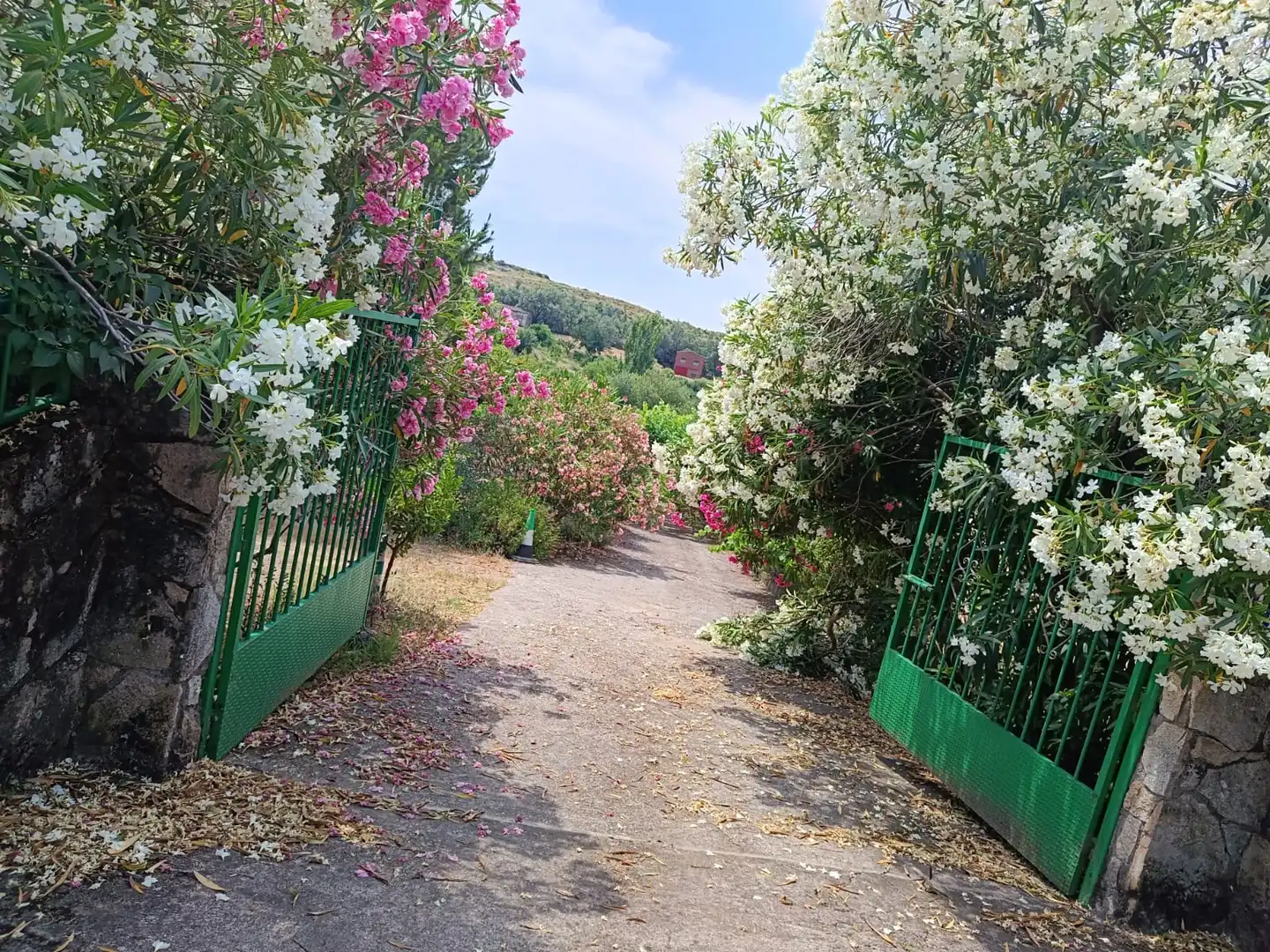 Garden of Land for sale in Jarandilla de la Vera