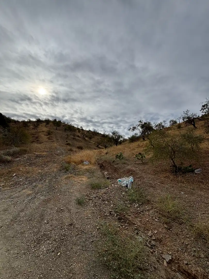 Terreno en venta en Almogía