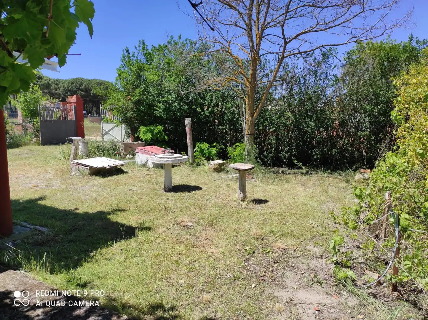 Jardín de Casa o chalet en venta en Traspinedo con Jardín privado, Terraza y Trastero