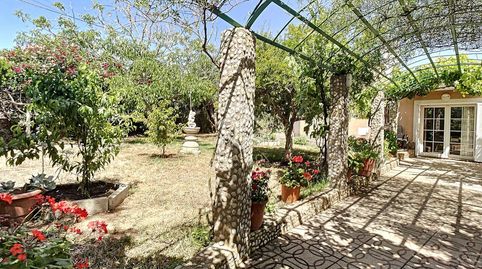 Villa de 7 dormitorios en dos parcelas en venta en Binixica Maó, Menorca