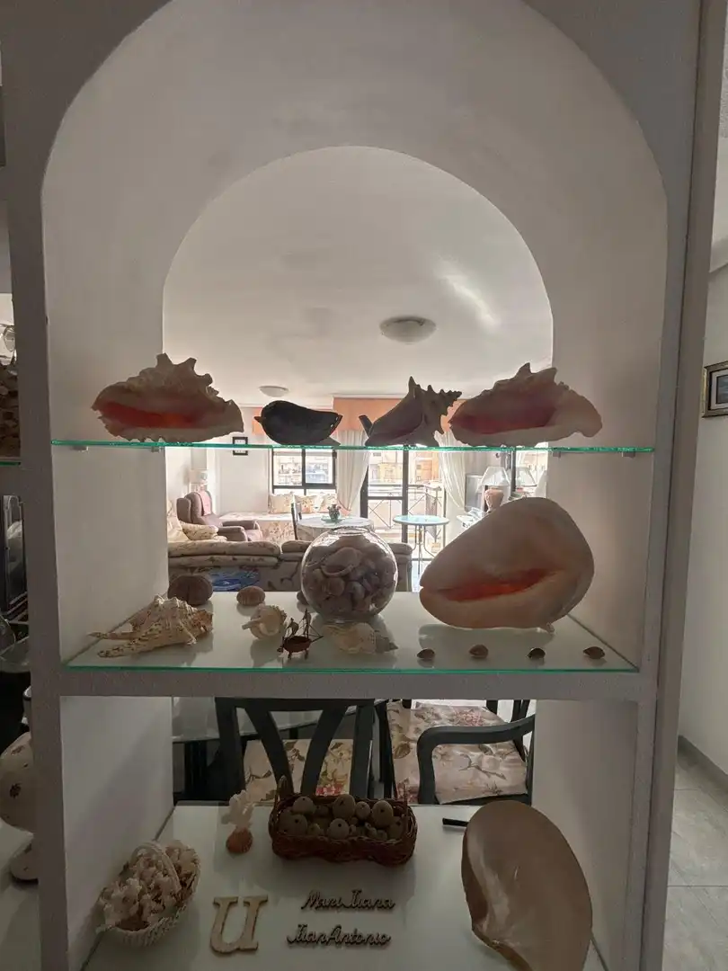 Penthouse mit Aufzug zum Verkauf in Calle ESPARTEROS, imagen 8