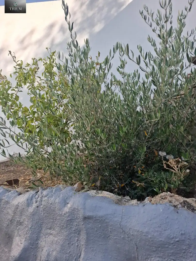 Garten von Einfamilien-Reihenhaus zum Verkauf in Pinos Puente mit Klimaanlage