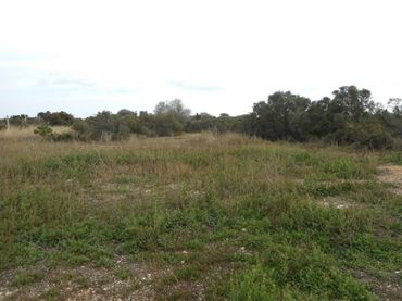 Terrain rustique à vendre à MAS DE CABANES