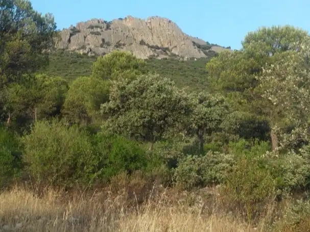 Rustikales Grundstück zum Verkauf in camino Mestanza 1, imagen 5