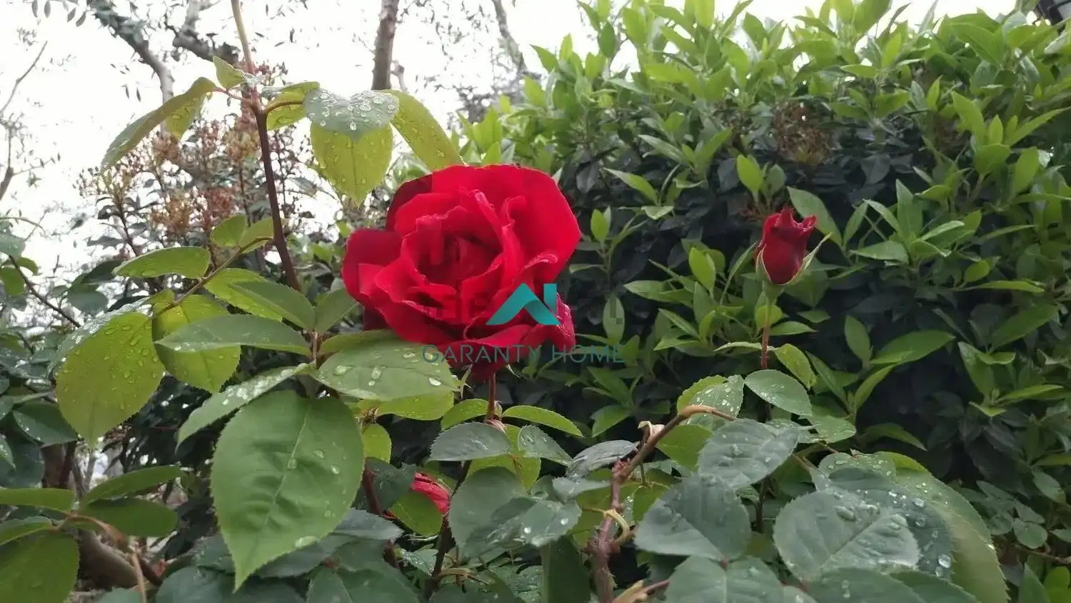 Jardí de Planta baixa en venda en El Pont de Suert amb Jardí privat