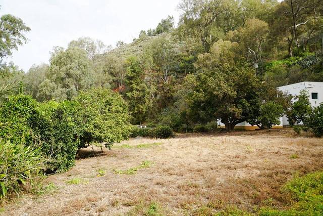 Finca rústica en Venta en  LOMO DEL HORNILLO, 0 en San José del Álamo - El Hornillo