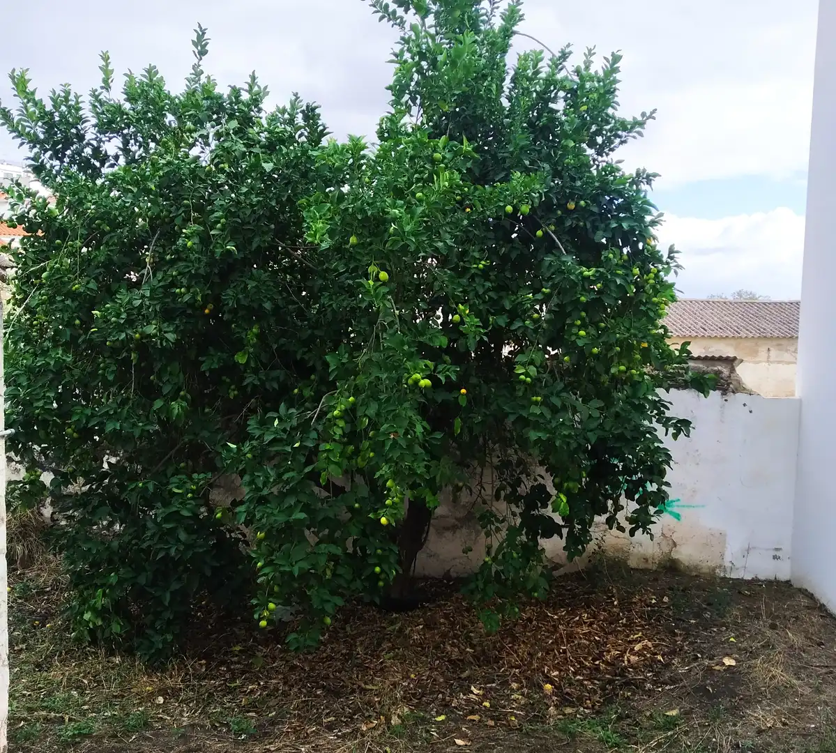 Terreno residenziale in vendita a Jerez de los Caballeros, imagen 4