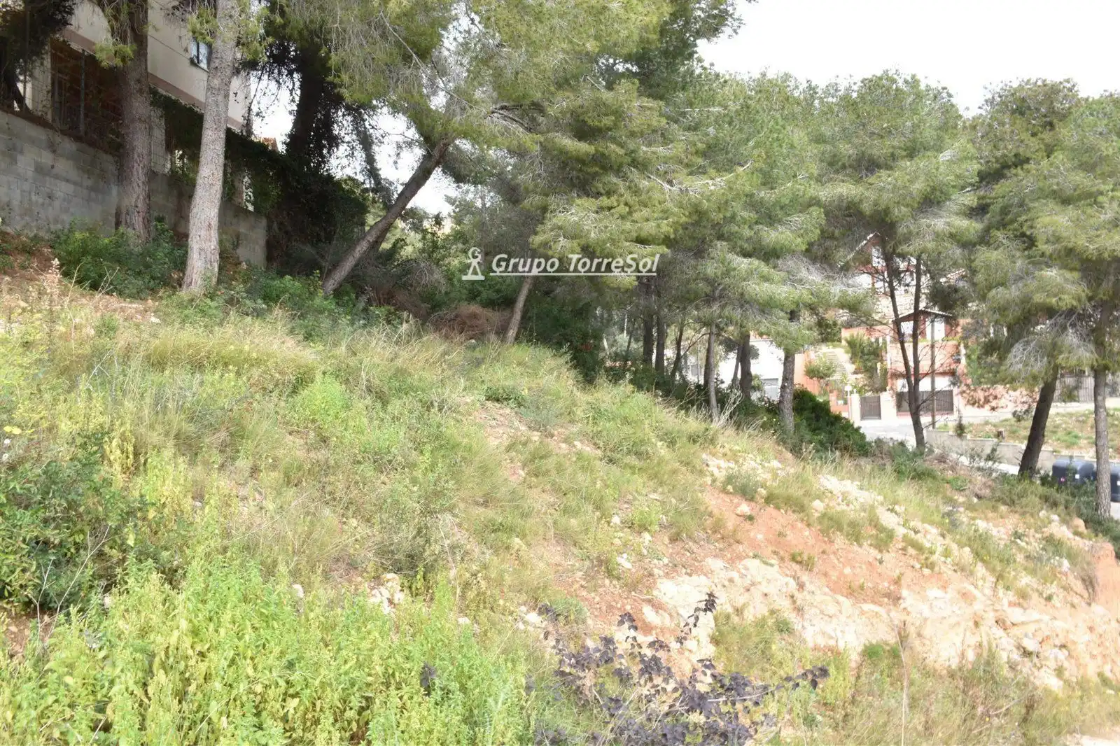 Rural land for sale in GLADIOL, imagen 3