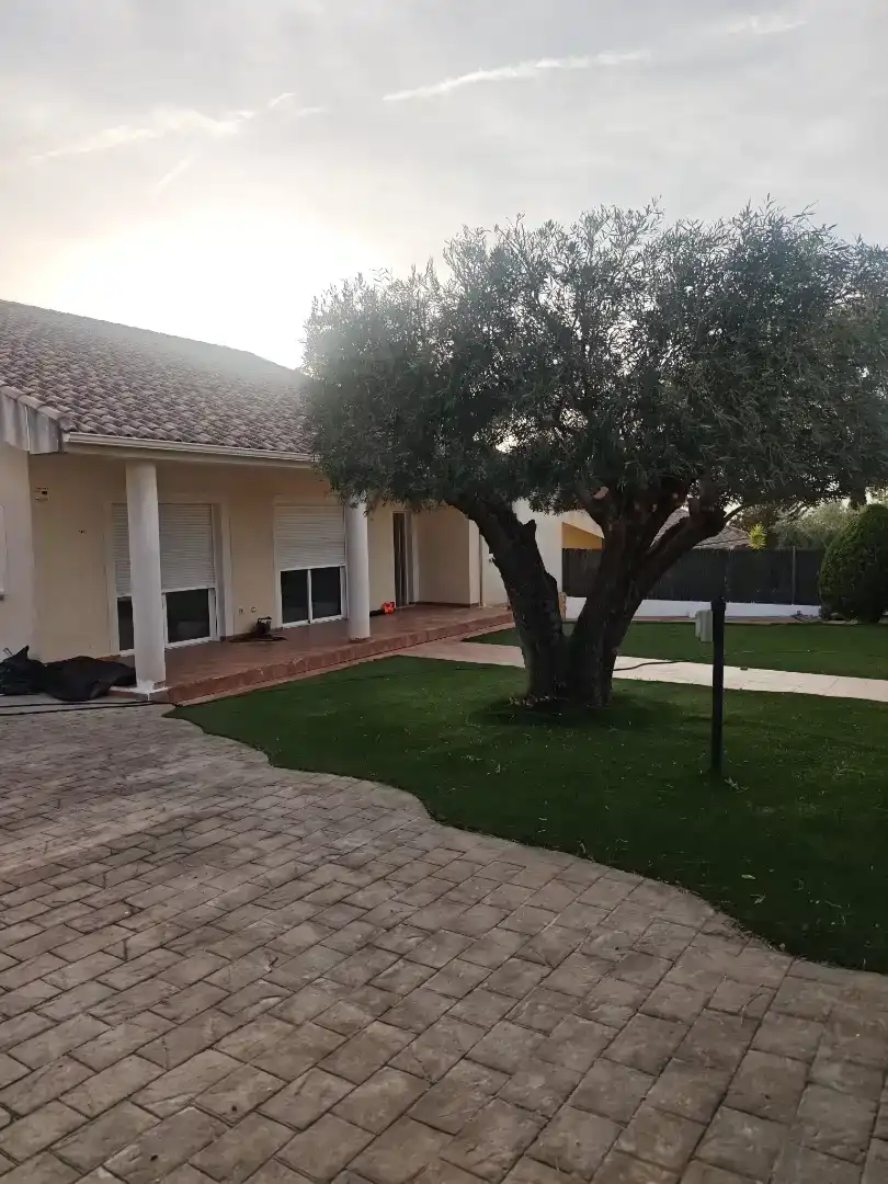 Jardí de Casa o xalet en venda en  Murcia Capital amb Aire condicionat, Piscina i Balcó