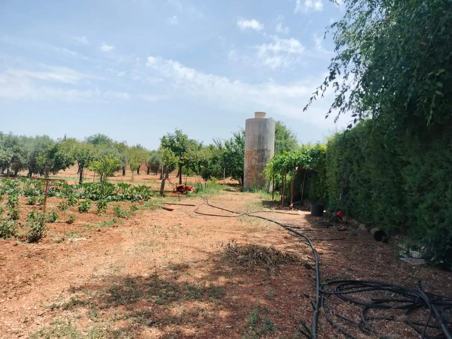 Casa o xalet en venda a PAU 2-600