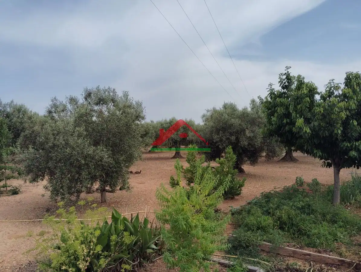 Country homes for sale in Vinaròs  with Terrace