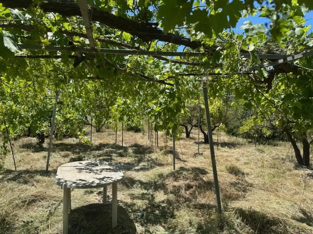 Terreno en venta en La Font d'en Carròs