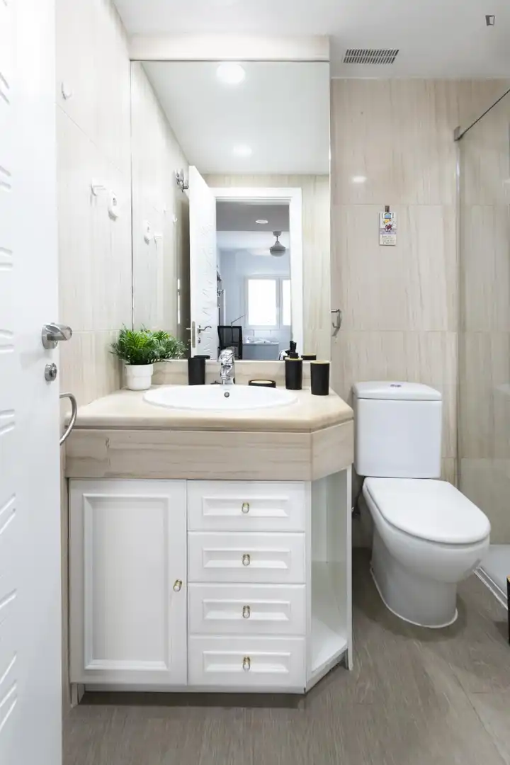 Bathroom of Apartments for rent in Madrid  with Heating, Furnished and Oven