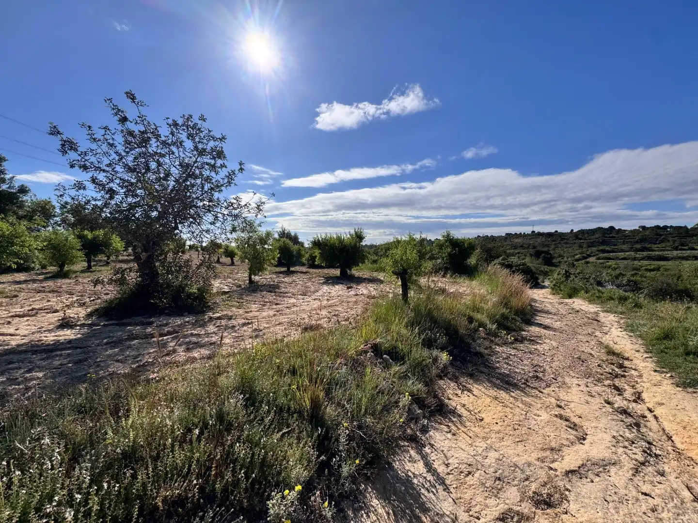 Land for sale in Polígono 26 Parcela 21 CASA BLANCA-BARBETA. TORRE, 26, Poligono Mas del Jutge