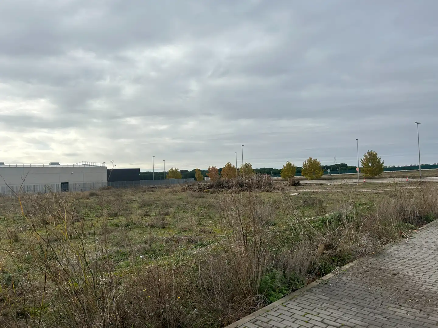 Industrial land for sale in Calle Cortadores 18, imagen 9