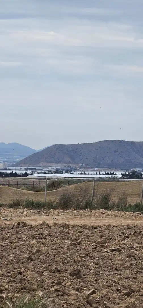 Terreno en venta en Camino el Hornico, Sucina